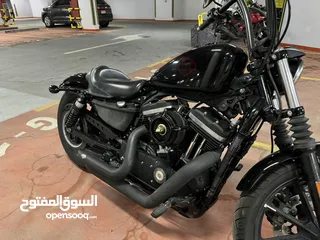  5 Harley Davidson Sportster XL 883n