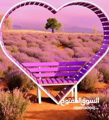  16 مراجيح ومداخل زهور قوسي