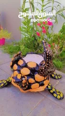  4 Beautiful Turtle pots with cobra