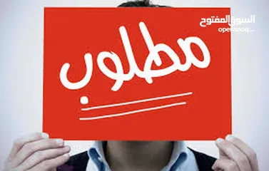  2 مطلوب فحل حسون بسعر معقول لو عمر اقل من 8 اشهر