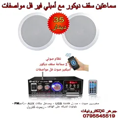  1 نظام صوتي للسقف