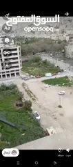  4 فارس شاهين