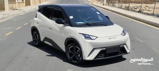  1 BYD SEAGULL 2023
