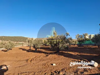  21 رقم الاعلان (4495) مزرعة للبيع في الكمشة حوض الميدان اطلالة بانوراما