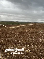  18 للبيع قطع مفروزة طريق الزرقاء اربد منطقة بلعما واصل خدمات