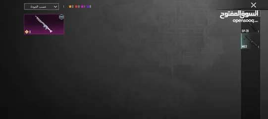  14 حساب ببجي لقطه