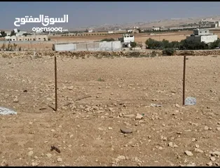  5 قطعة أرض 4 دونم و 632 متر في بلعما منطقة الزيتونه