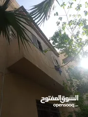  1 شقة للببيع