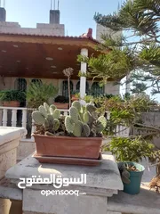  6 منزل (شبه فيلا) للبيع اربد (حوارة)