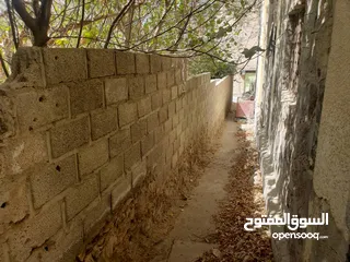  8 ارضيه مع بيت للبيع  بمساحة 58 قصبه بنصف سعرها