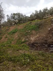  28 ارض زراعيه في بلعا دير الغصون