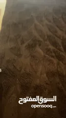  3 سجادتين تركي