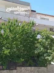  3 قص وتقليم اشجار النخيل