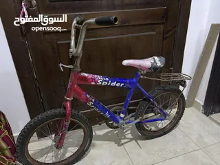  1 بسكليت أطفال عدد 3