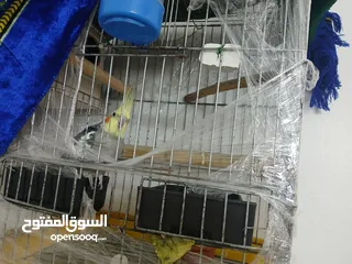  3 كوكتيل جوز بالصلاه على النبي