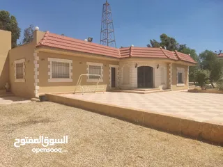  3 مادبا حواره مزرعه للبيع