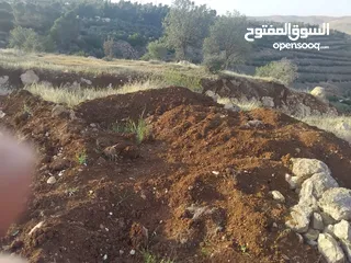  8 ارض بالعالوك مساحة 3 دونم و 400 متر في اجمل مناطق المحمر  للمهتمين : الاتصال على الارقام يلي بالوصف