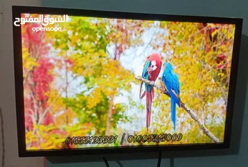  9 شاشات 24 بوصة LED FHD IPS معاها رسيفر HD هدية كسر زيرو بالكرتونة بالضمان