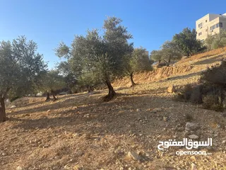  3 متوفر 3 قطع ارض بمساحات مختلفة (550)