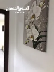  10 ستوديهات جديدة مفروشة اول الطيرة اول السرية