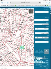  3 قطعة أرض سكنية في الكرك /المرج (الرابية)