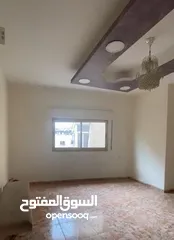  1 شقة لاايجار