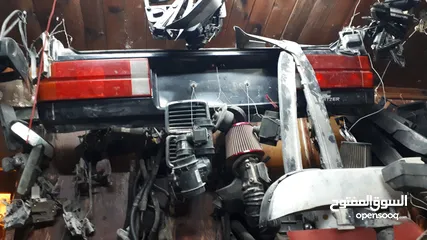  14 قطع بوز نمر