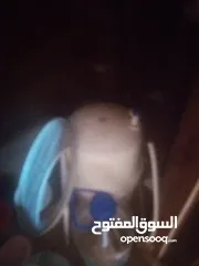  2 فلتر ماء البيع شغال جدا جدا