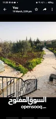  5 Farm for sale
