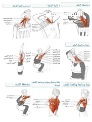  2 مدرب لياقه بدنيه وبناء أجسام ومدرب سباحه