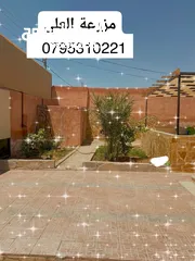  14 مزرعة و شالية للبيع