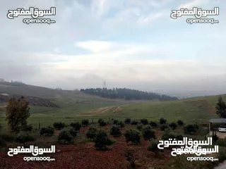  4 ارض للبيع مساحه 3 دنمات و 400م  مفروزه قزشان مستقل من المالك