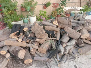  2 حطب زيتون وكينا للبيع