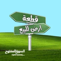  1 قطعة زراعية 215 متر بشارع الشهداء