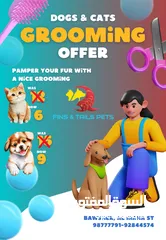  1 Pet Grooming Services