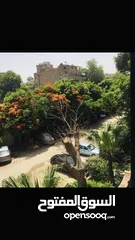  1 استوديو مفروش في ثكنات المعادي موقع راقي خطوات لشارع 9 للمطاعم و البراندات