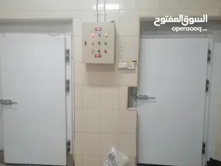  17 مصنع ألبان