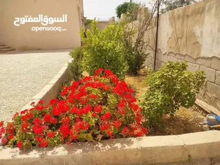  2 بيت للبيع المفرق ضاحية الملك عبد الله