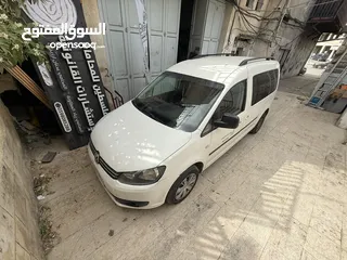  1 كادي شصي طويل