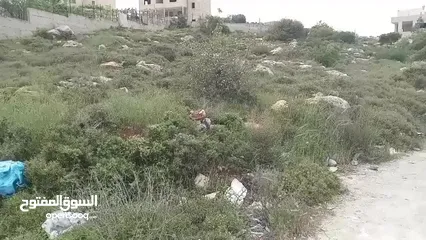  4 ارض للبيع في تفوح