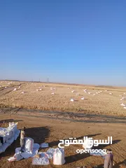  3 تبن قمح للبيع عترابو