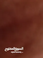 2 شركه سيارات مع الموقع للبيع