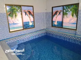  12 شالي للايجار اليومي