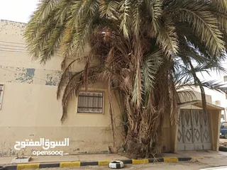  3 منزل واجهتين للبيع في قرجي بالقرب من جامع اسامة بن زيد