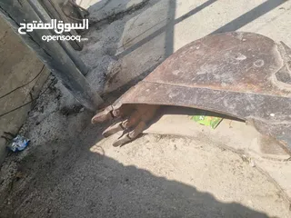  4 شاكوش وكفات باجر