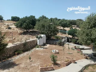  12 منزل دوبلكس للبيع مع مزرعه  شجر مزروع مثمرعدد 25 و شجر زينه 25 كرفان 70م يحتوي على مطبخ حمام وصاله