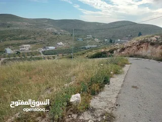  1 أرض عدة نمر للبيع بمساحات وأسعار مختلفة - بيت امرين - نابلس
