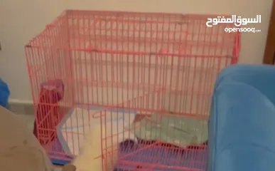  2 قفص لجميع أنواع الحيوانات للبيع