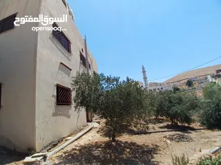  3 منزل بيت شقة مستقل للبيع مع حديقة وكراج وشرفة الزرقاء ضاحية البستان