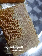  17 يوجد عسل طبيعي مكفول 100٪ من جبال عجلون _ عرجان